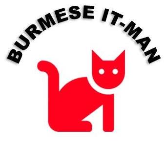 Burmese IT Man